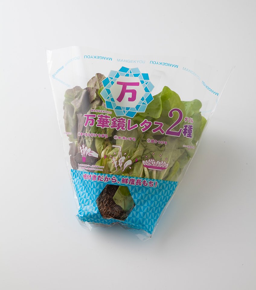 万華鏡レタス2種｜万代のこだわり（イチオシ！）