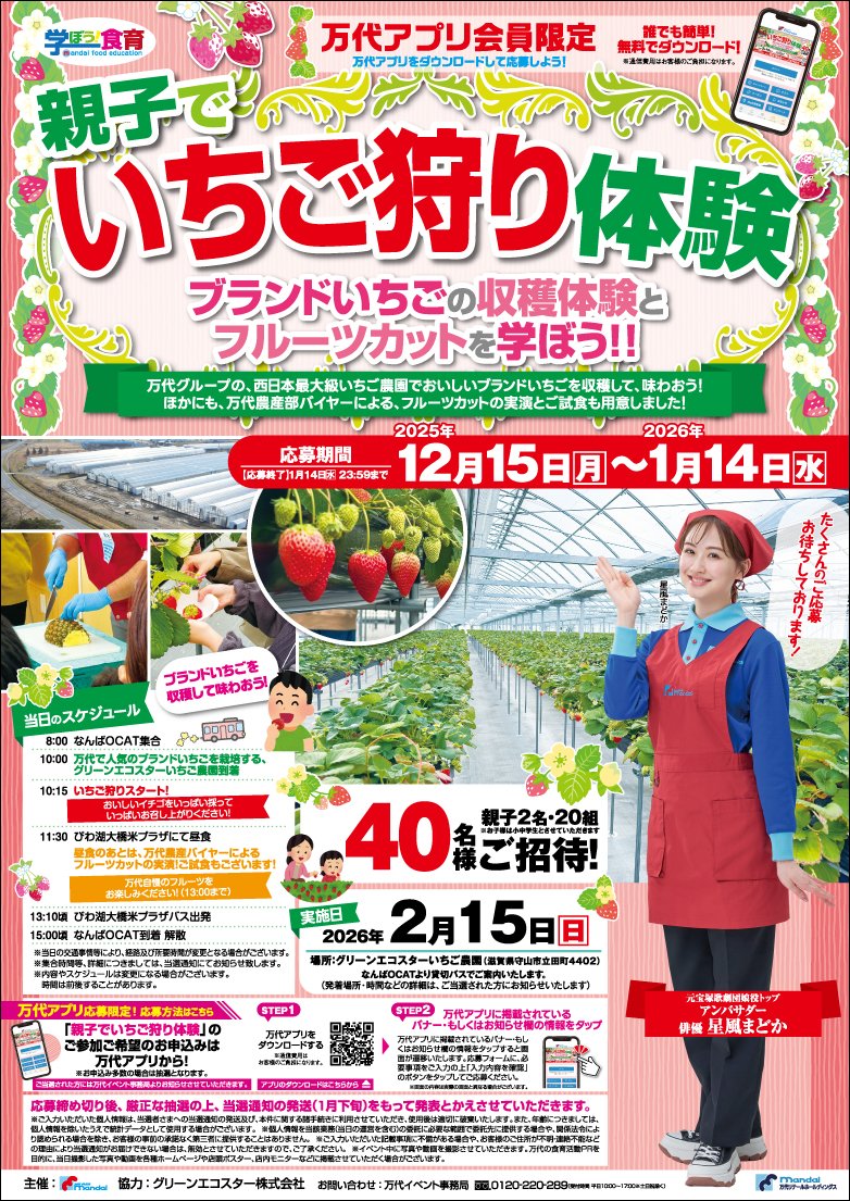 ★いちごmama★(まとめ割り〇)専用ページ 全部知ってる？静岡いちご食べ比べ！ | ハマラボ[ハママツ研究所